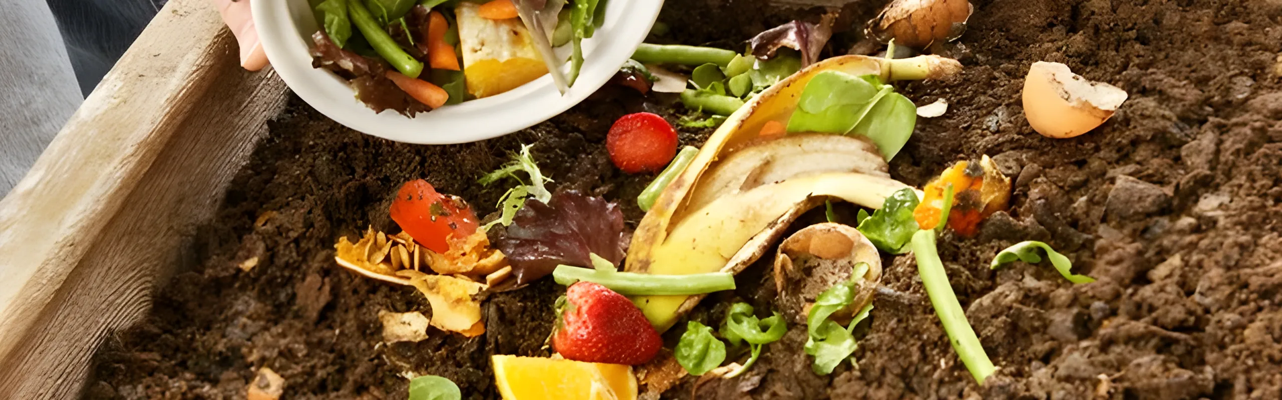 compost closeup