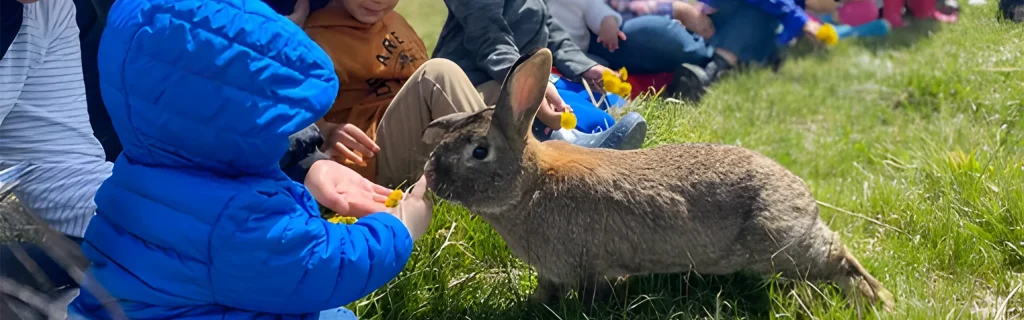 kids playing with a bunny