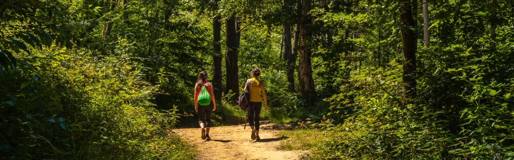 two women walking on a trail in the forest